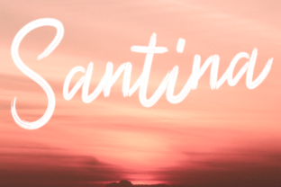 Boost Your Campaign with Santina: A Handwritten Font