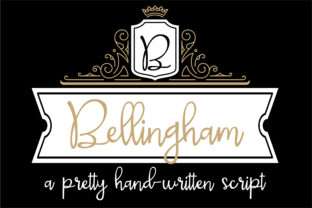 Bringing Bellingham to Life in Branding Projects