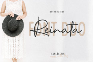 Reinata Duo: A Versatile Font for Web Design and Branding